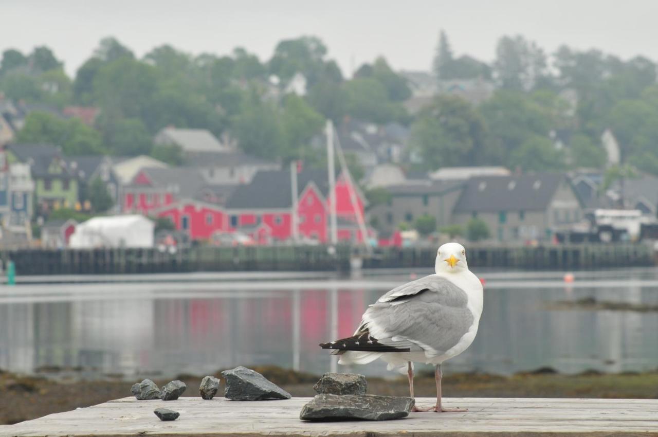 Smugglers Cove Lunenburg